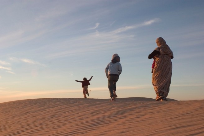 Stolen_02-credit-Dan-Fallshaw-1